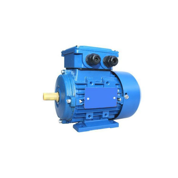 Электродвигатель АИР100L8