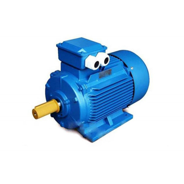 Электродвигун АИР280М2
