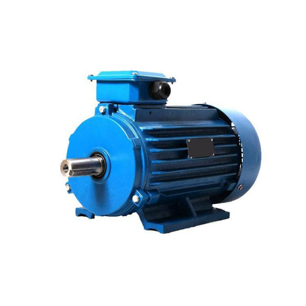 Электродвигун АІР100L8