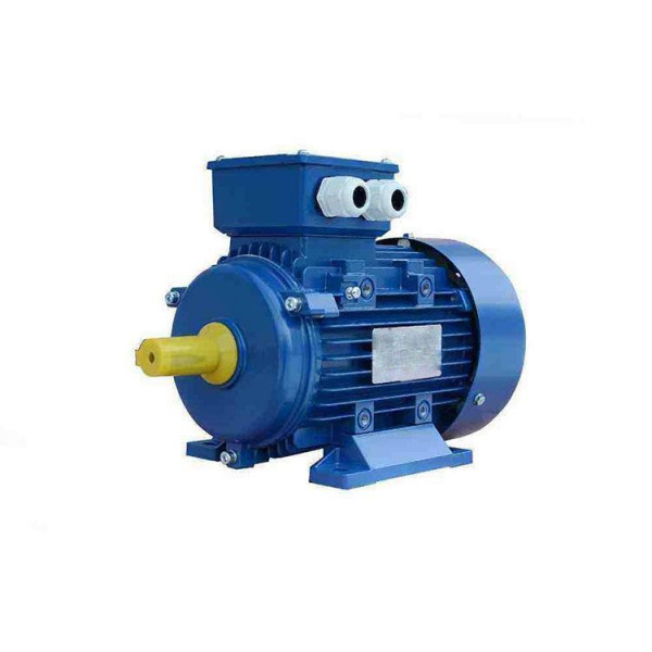Электродвигатель АИР100L2