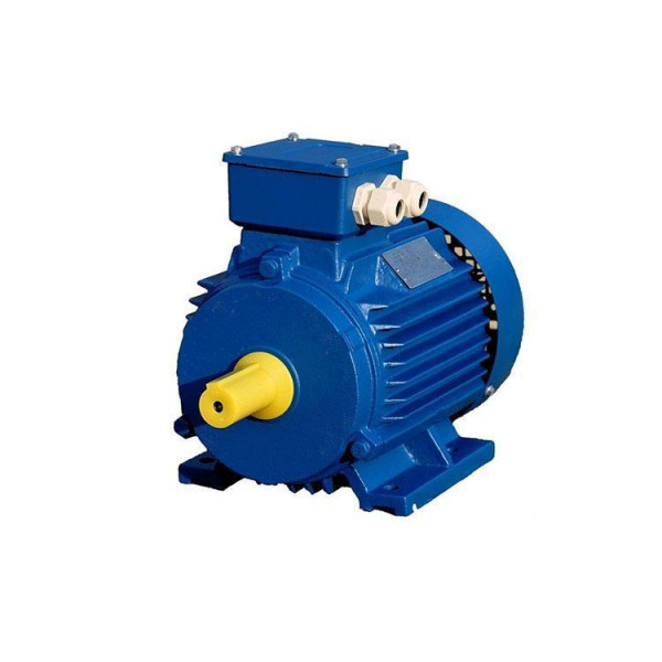 Электродвигун АИР180М6