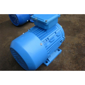 Электродвигатель АИР200L6