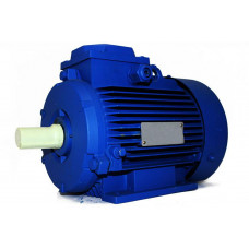 Электродвигун АИР225М6