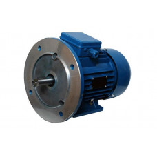 Электродвигун АИР250М8