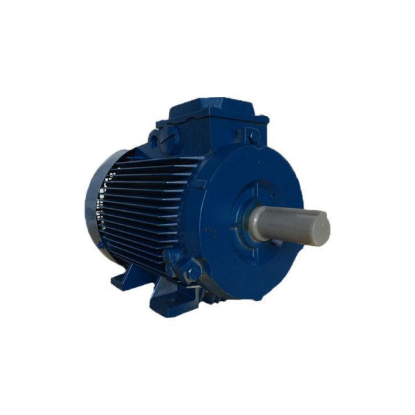 Электродвигун АИР315Ѕ6