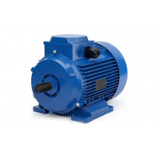 Электродвигун АИР315М6