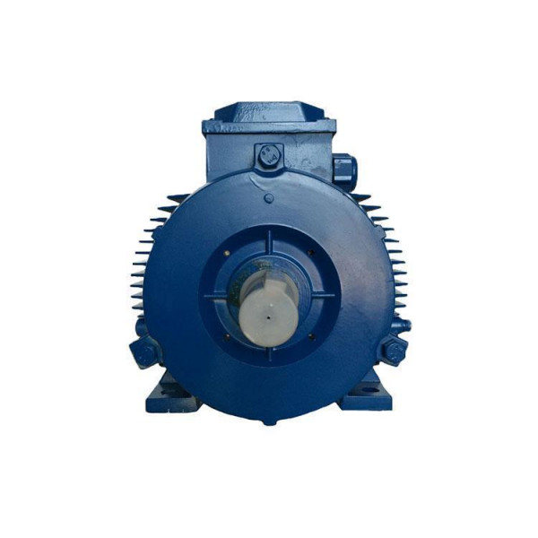 Электродвигун АИР355МВ8